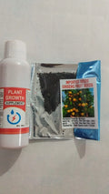 Essential Powerful Organic Fertilizer for Fast Growth and Heavy Fruiting of Citrus
